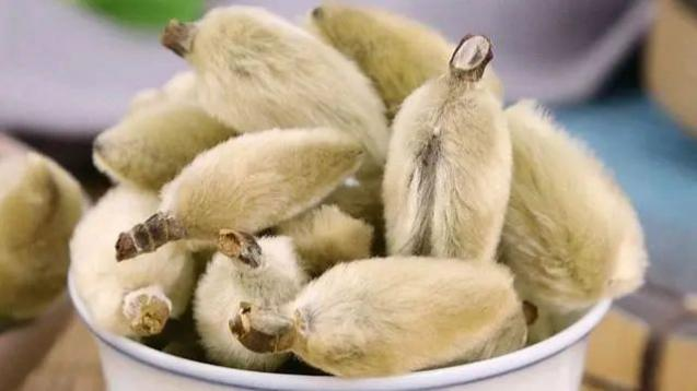 1_1728892852635284424.png 图片6.png