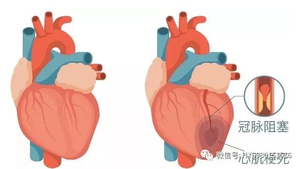 1_1700640104193389893.jpg 图片2.jpg