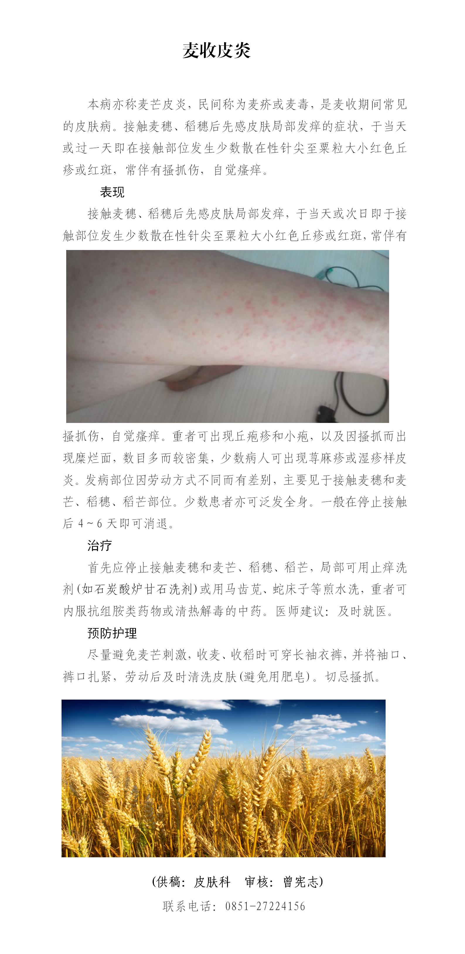 2022年38期 麦收皮炎_01.jpg